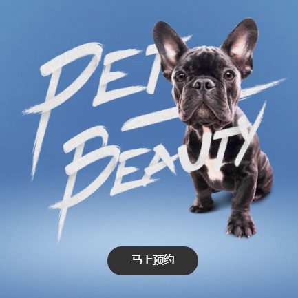 南票宠物中心小程序开发