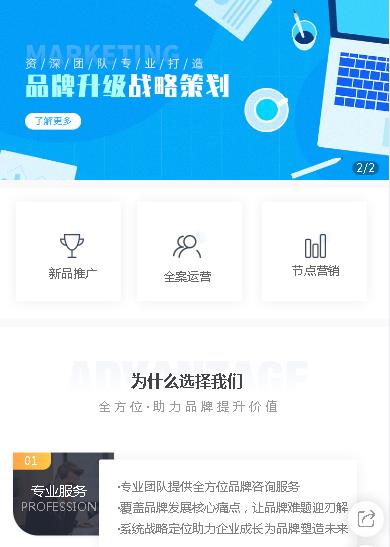 南票咨询策划小程序开发