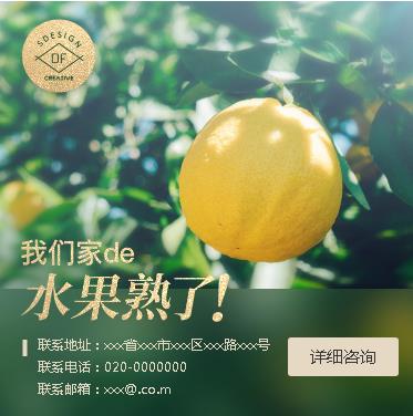 南票果园果林小程序开发